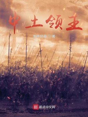 魔戒之中土大战 魔戒之中土大战