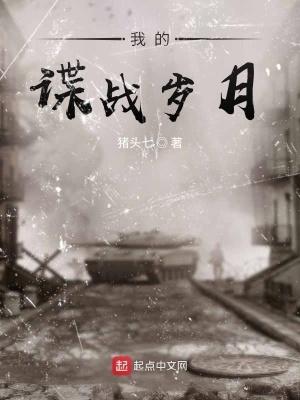 我的谍战岁月 我的谍战岁月