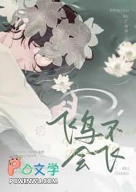 飞鸟不会飞全文阅读