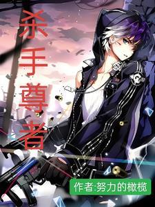 杀手xiii 杀手xiii