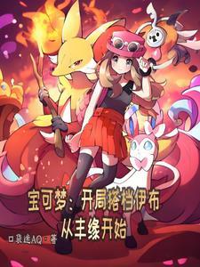 宝可梦伊布视频 宝可梦伊布视频
