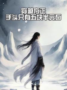 手头只有五块半元石