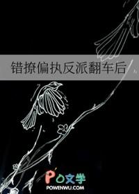 错撩偏执反派翻车后txt