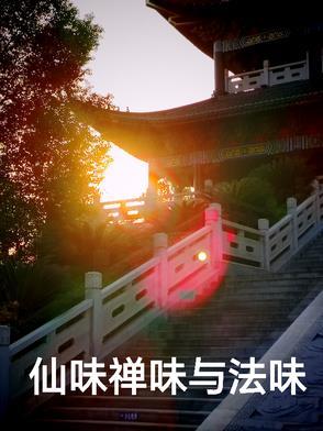 禅味茶味 禅味茶味