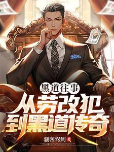电视剧 黑道传记 电视剧 黑道传记