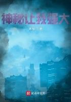 世子稳重点TXT 世子稳重点TXT